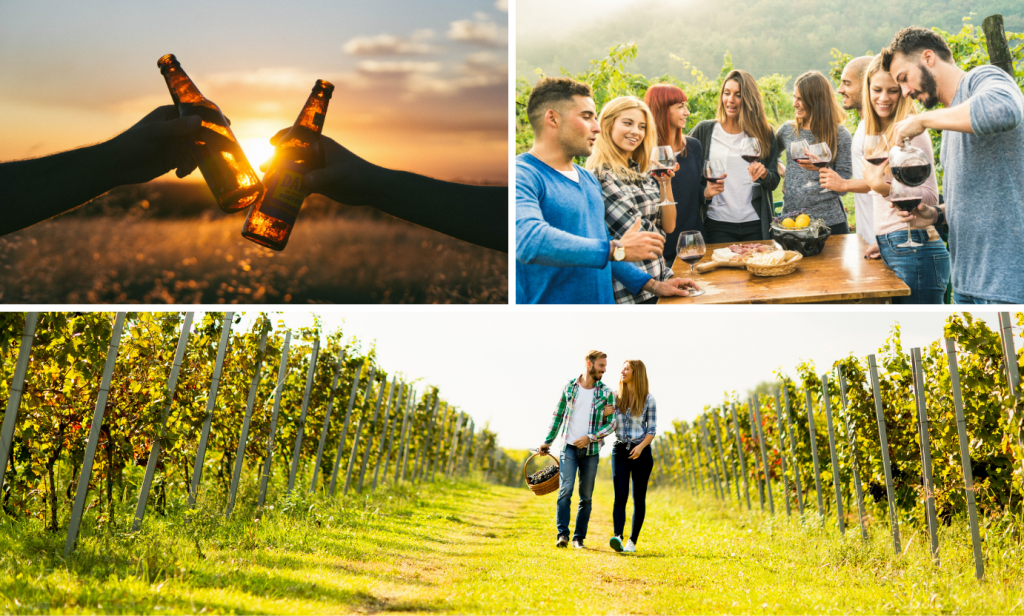 Wine & Beer Trails Finger Lakes Wine Rack Tours